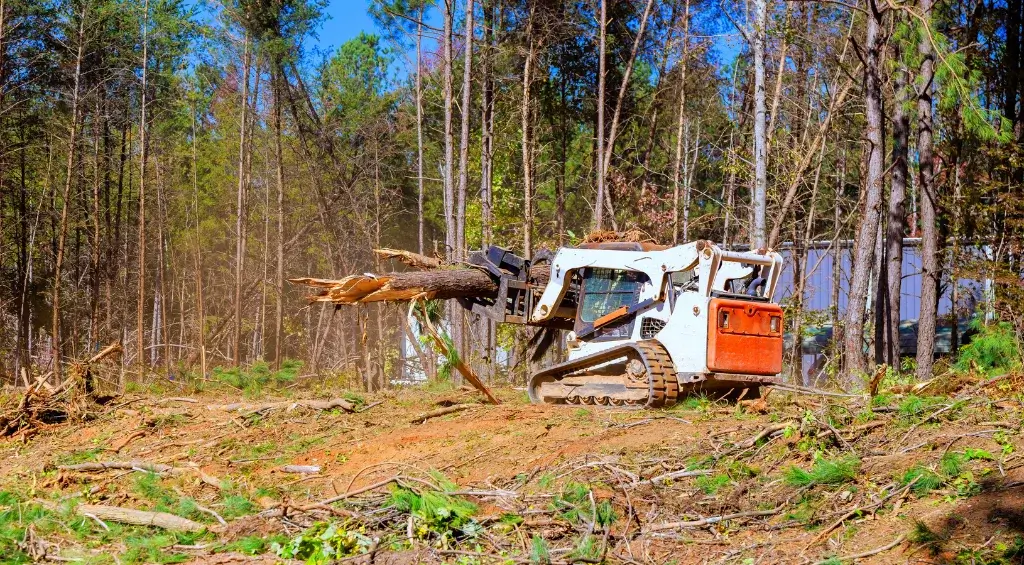 preparar terreno para construção