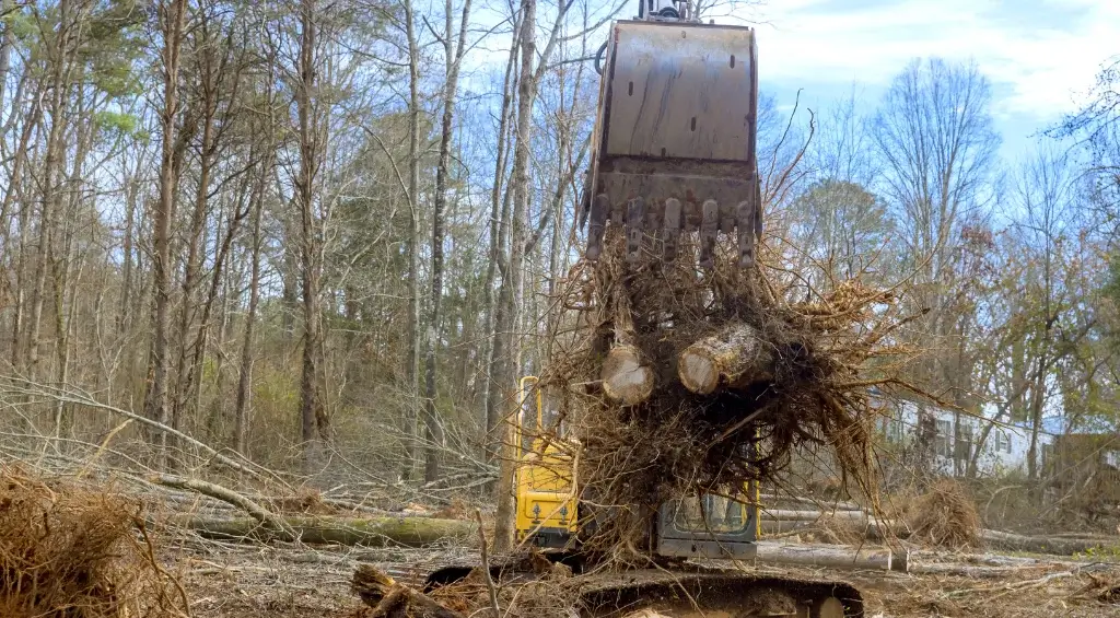 preparar terreno para construção